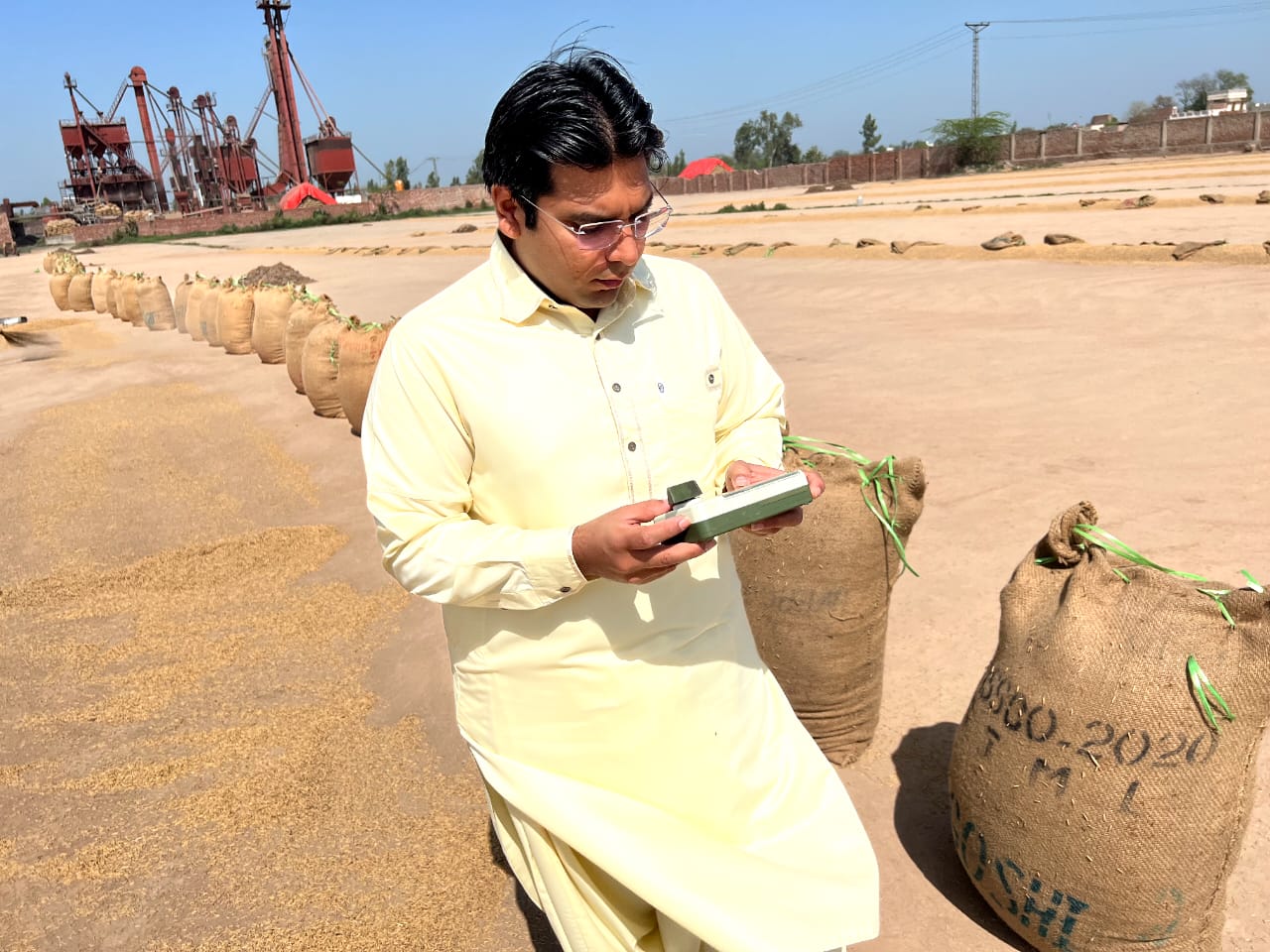 Owner Checking Moisture in Paddy