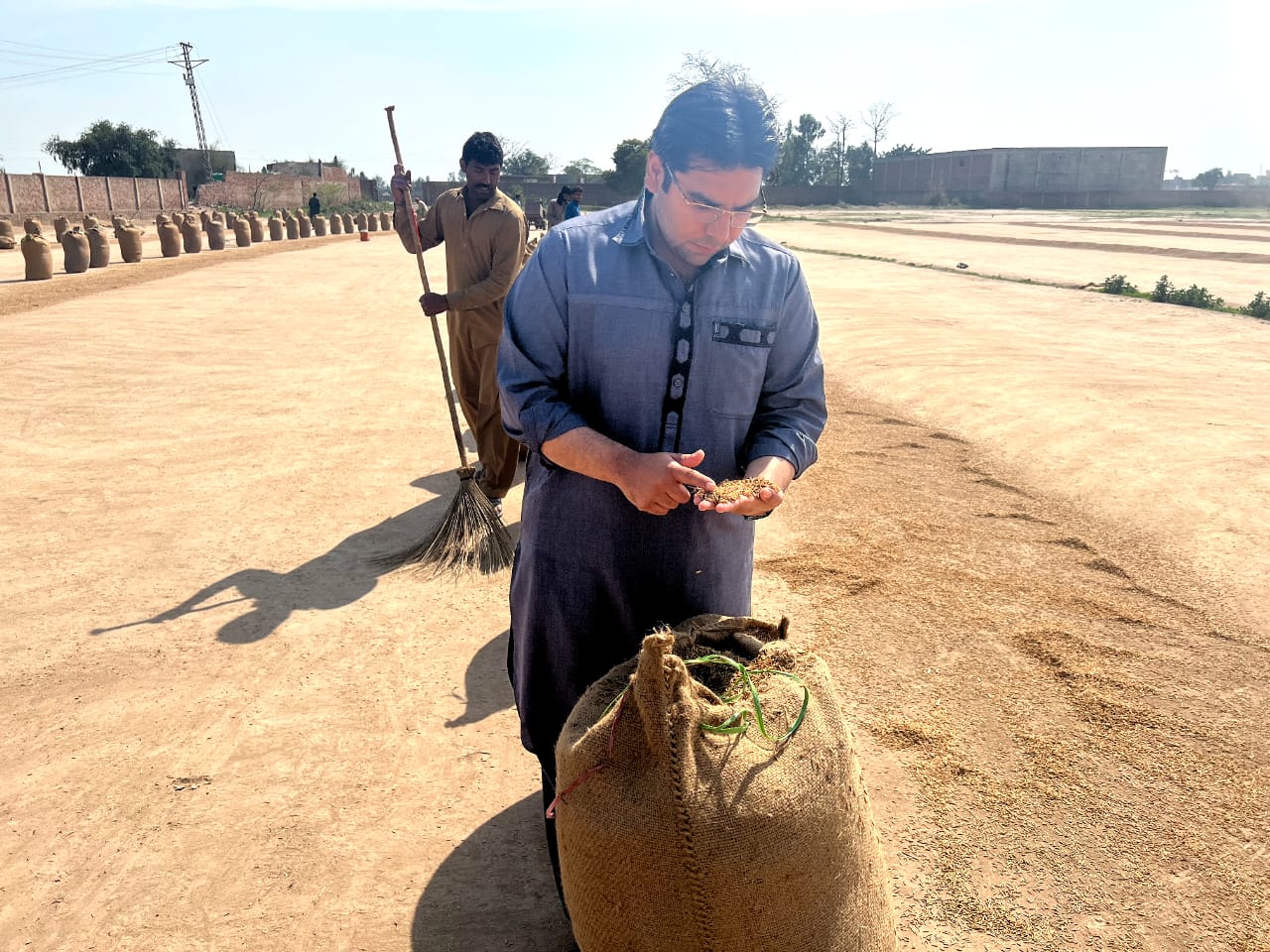 Owner Checking Paddy Dryness